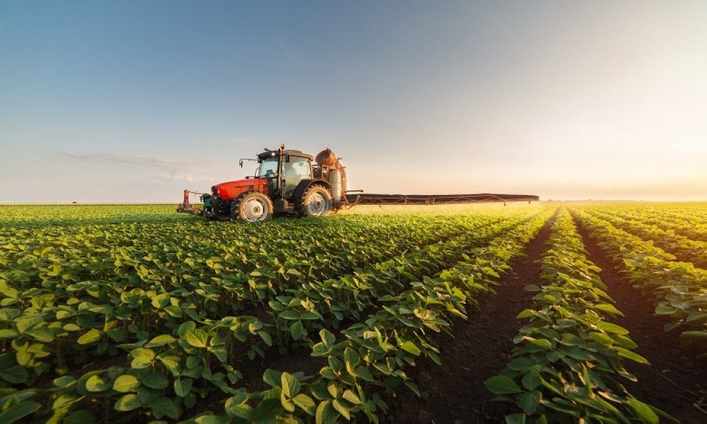 مجموعة BCG–Novec–Agro-Concept تفوز بعقد إعداد استراتيجية الفلاحة المغربية 2050