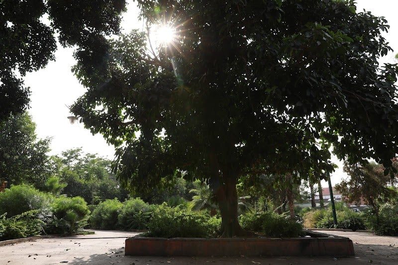 توقعات الأرصاد الجوية المغربية ليوم الاثنين: أمطار رعدية ورياح قوية في عدة مناطق