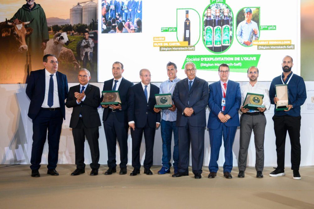 وزارة الفلاحة تعلن نتائج الدورة السادسة عشرة لمسابقة أفضل زيت زيتون بكر ممتاز في المغرب