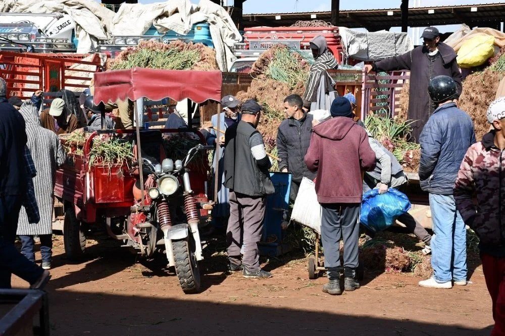 ارتفاع حاد في أسعار البصل بالجملة بالدار البيضاء ومواصلة زيادة اللحوم الحمراء