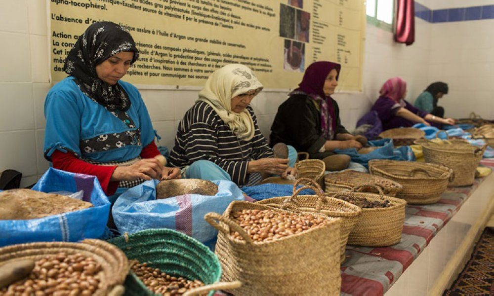 برنامج مرافقة لدعم 193 تعاونية متضررة من زلزال الحوز