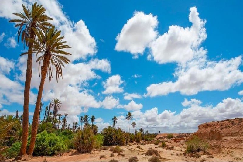 أجواء مستقرة الأربعاء وتحذيرات من زخات رعدية ورياح قوية بالمغرب