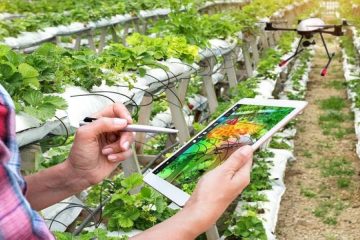 الجهة الشرقية: تحويل الري الموضعي إلى مكاسب مستدامة عبر برنامج إرشادي طموح