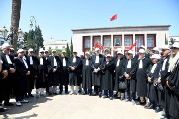 جدل قانون المحاماة يصل إلى المحكمة الدستورية: خطوة جديدة في مسار الإصلاح